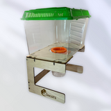 Cricots - Large (100+ Crickets)